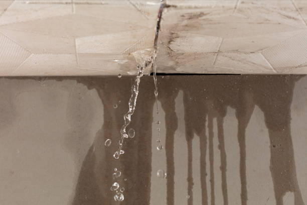 Professional Structural Drying technician working in Statham, GA